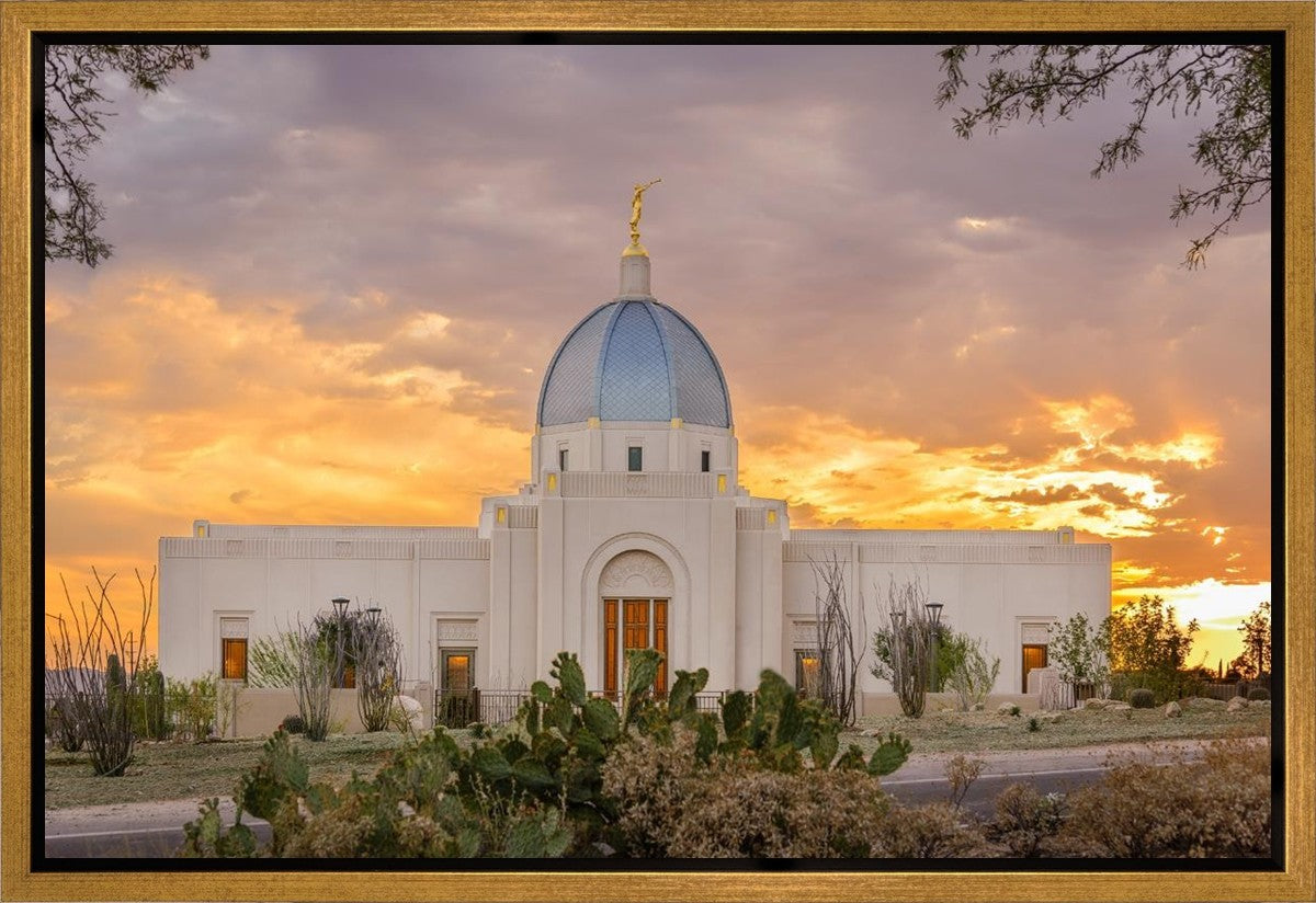 Tucson Valley of Fire Gallery Wrap