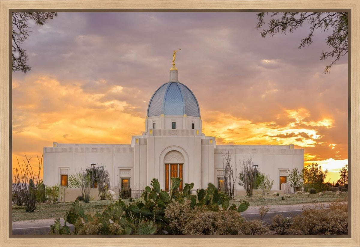 Tucson Valley of Fire Gallery Wrap