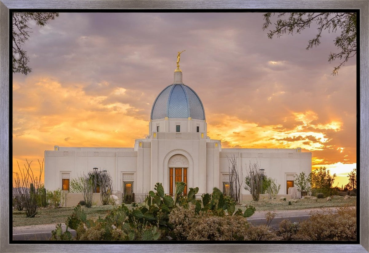 Tucson Valley of Fire Gallery Wrap