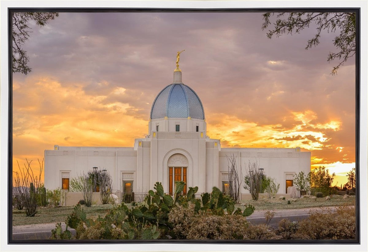 Tucson Valley of Fire Gallery Wrap