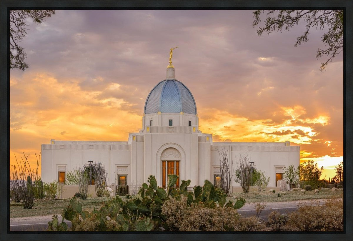 Tucson Valley of Fire Gallery Wrap