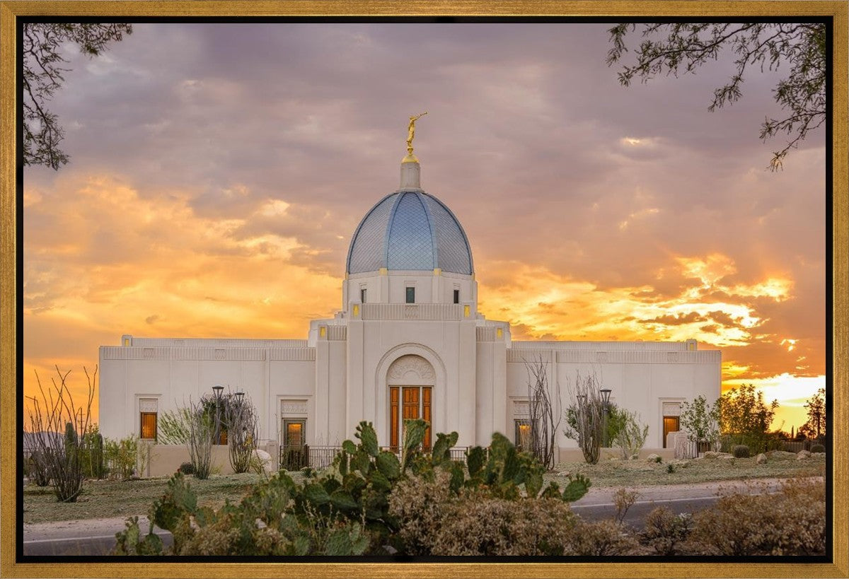 Tucson Valley of Fire Gallery Wrap