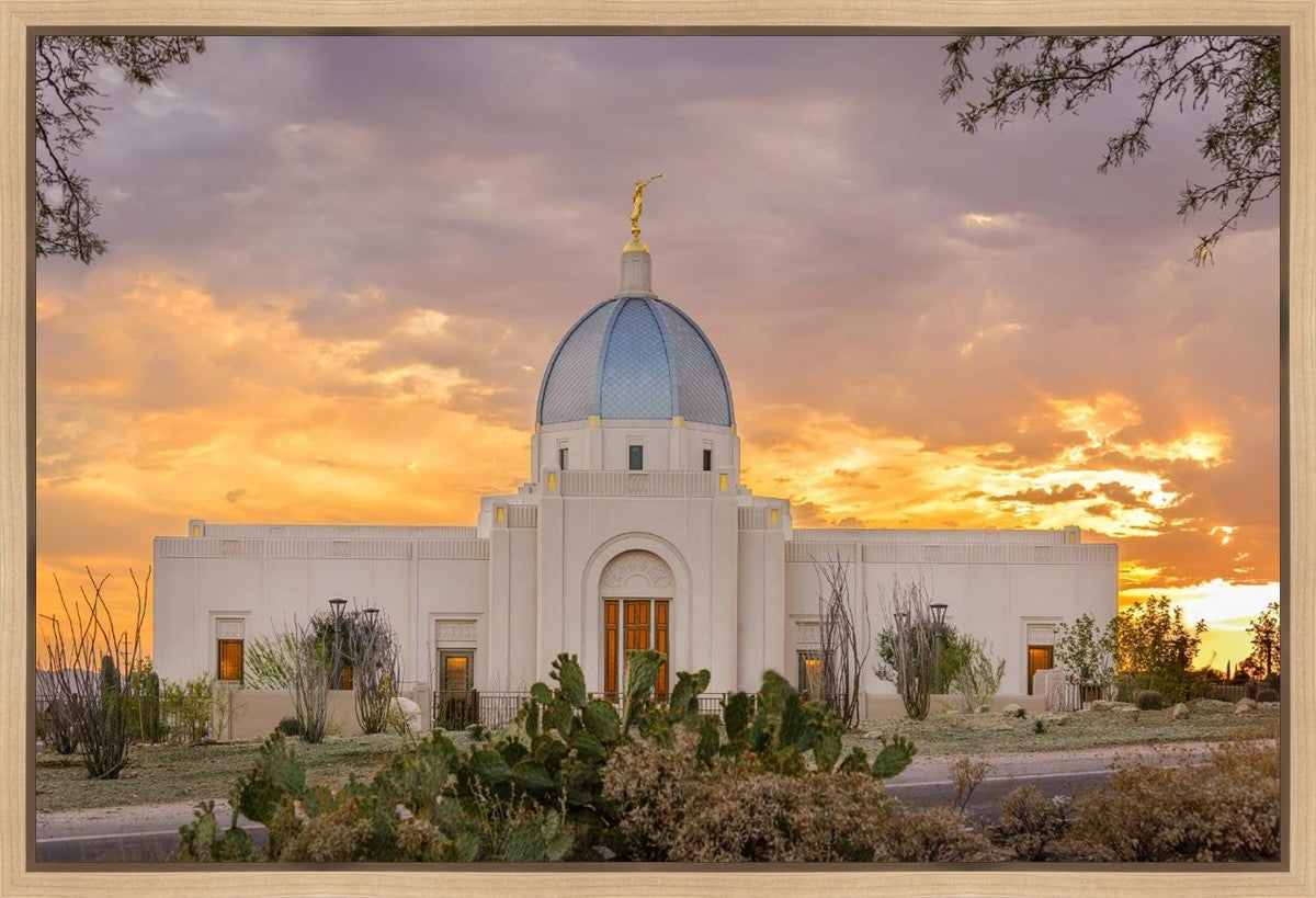 Tucson Valley of Fire Gallery Wrap