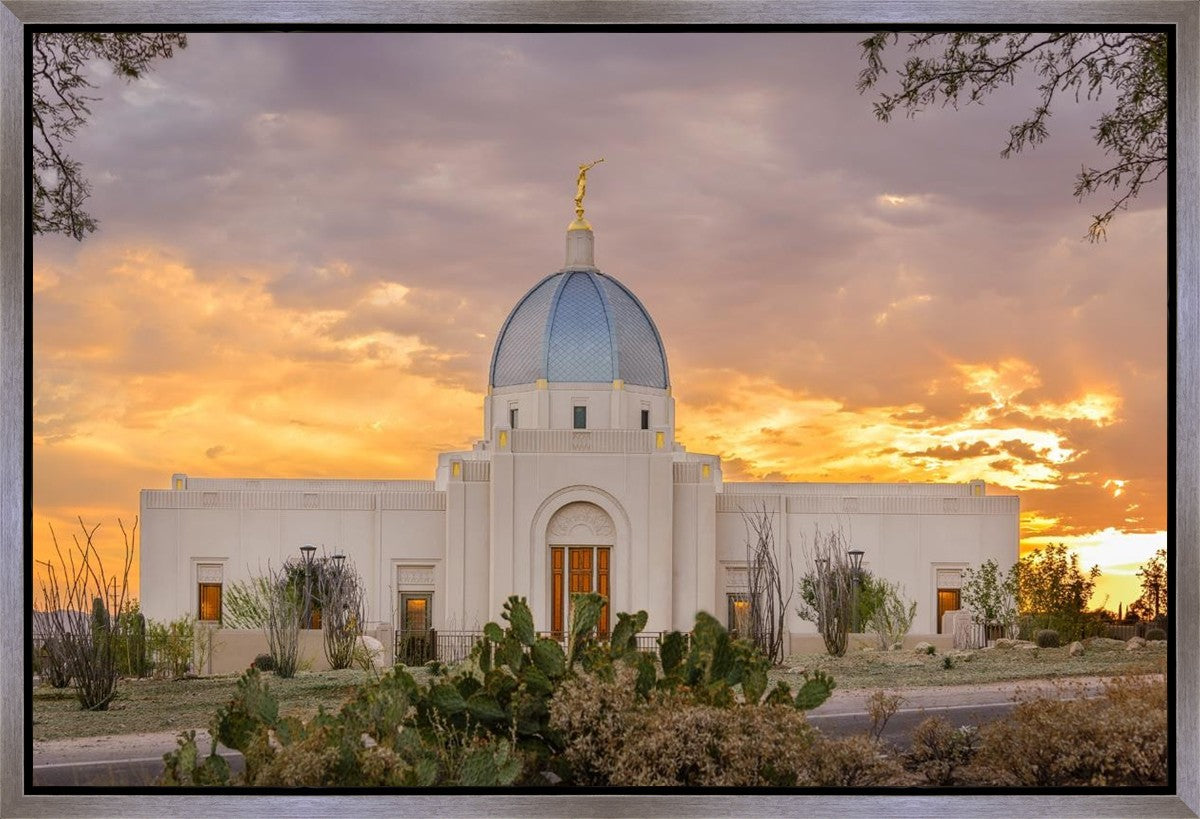 Tucson Valley of Fire Gallery Wrap