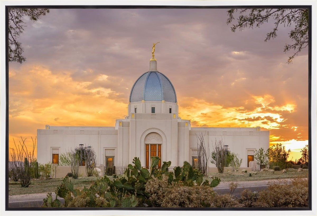 Tucson Valley of Fire Gallery Wrap