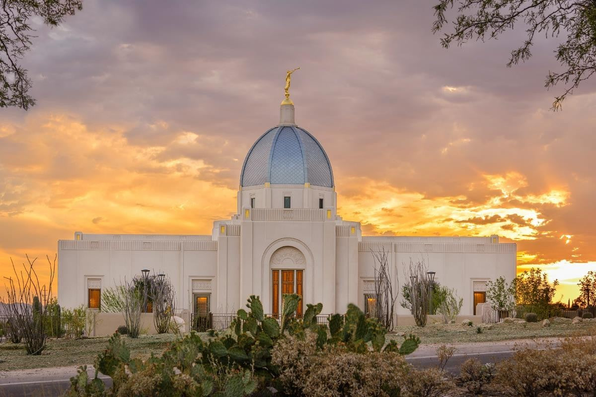 Tucson Valley of Fire Gallery Wrap