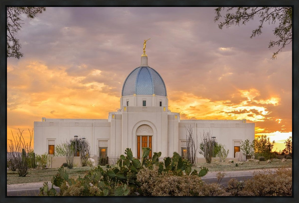 Tucson Valley of Fire Gallery Wrap