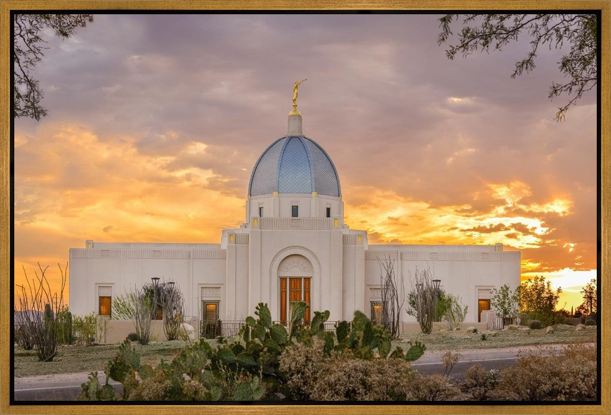 Tucson Valley of Fire Gallery Wrap
