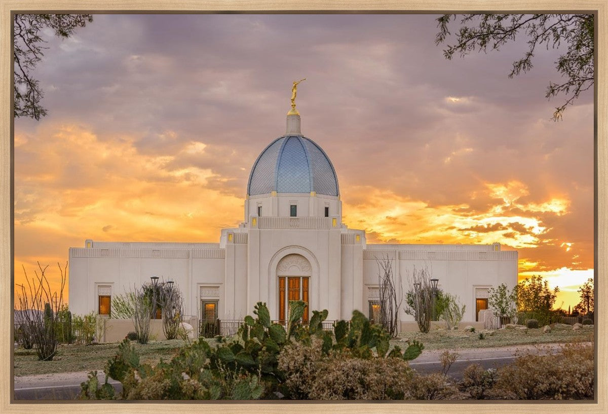 Tucson Valley of Fire Gallery Wrap