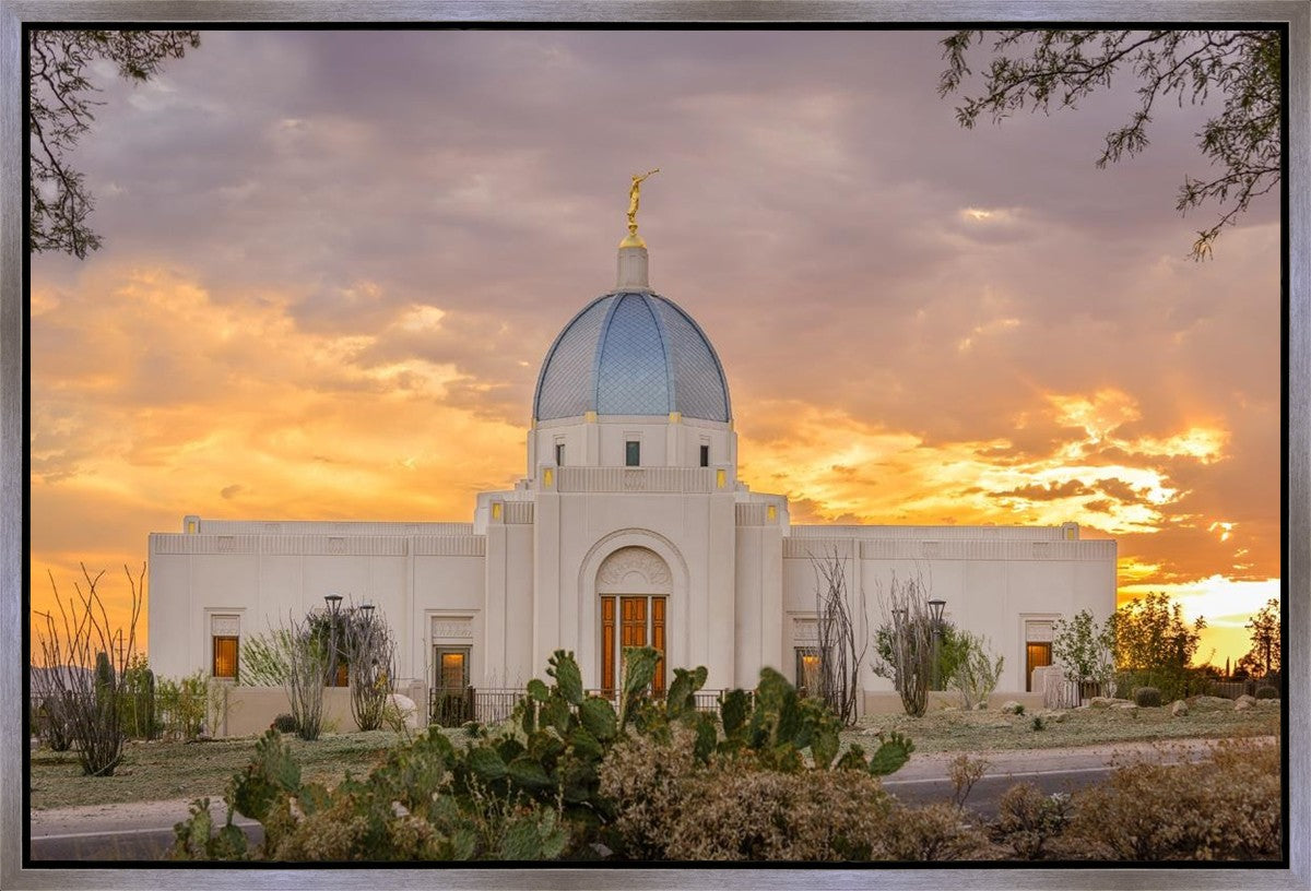 Tucson Valley of Fire Gallery Wrap