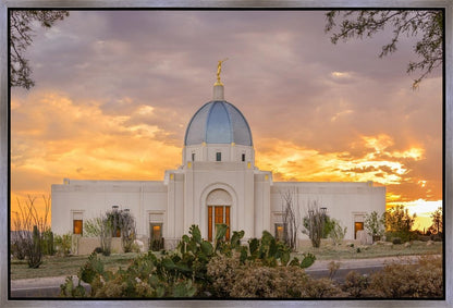 Tucson Valley of Fire Gallery Wrap