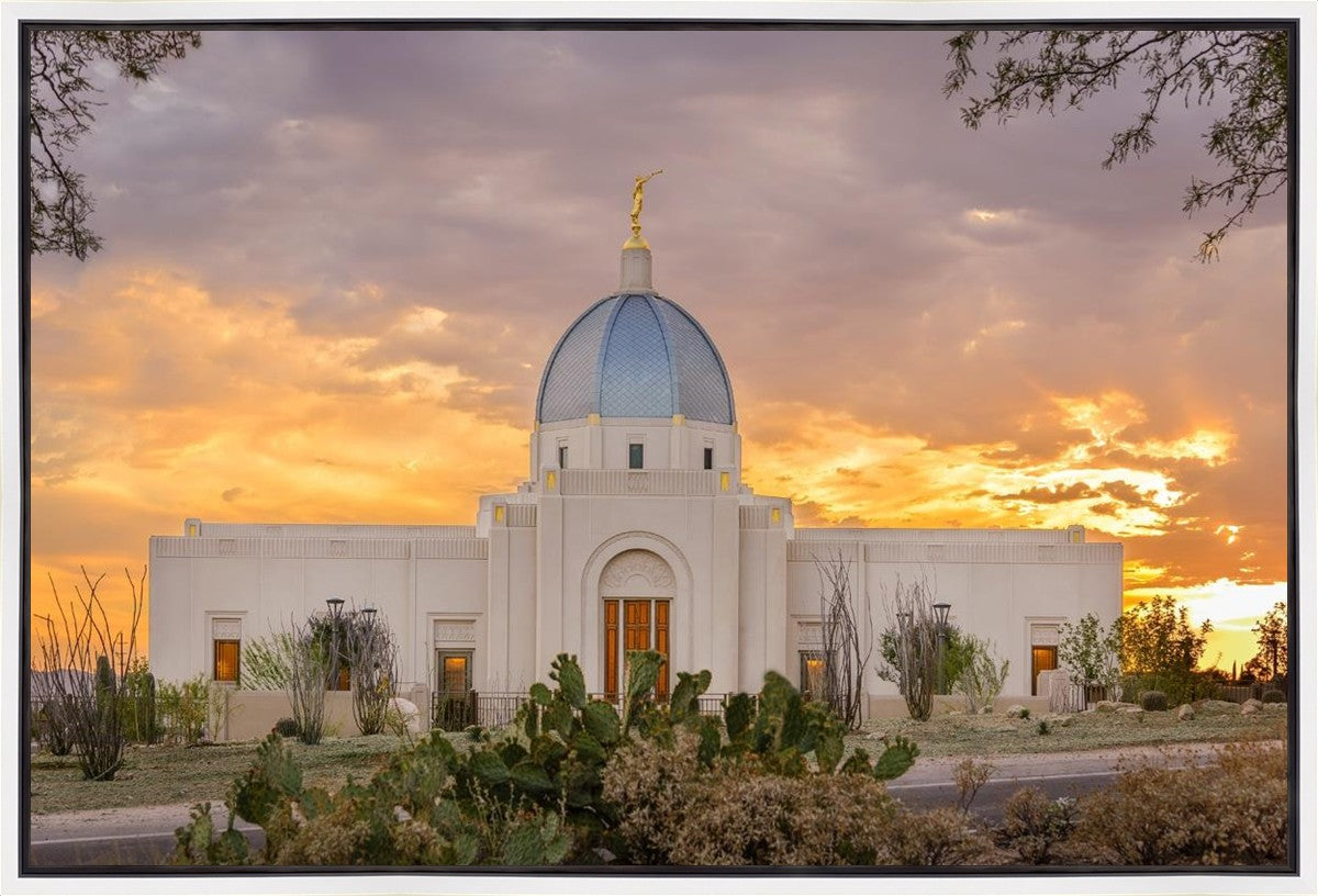 Tucson Valley of Fire Gallery Wrap