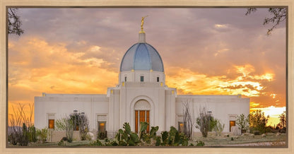 Tucson Valley of Fire Gallery Wrap