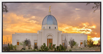 Tucson Valley of Fire Gallery Wrap