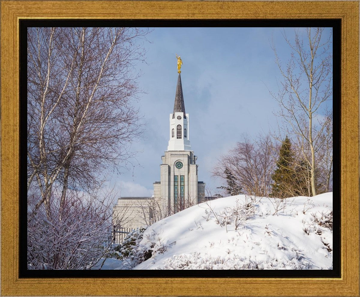 Boston Morning Snow Horizontal