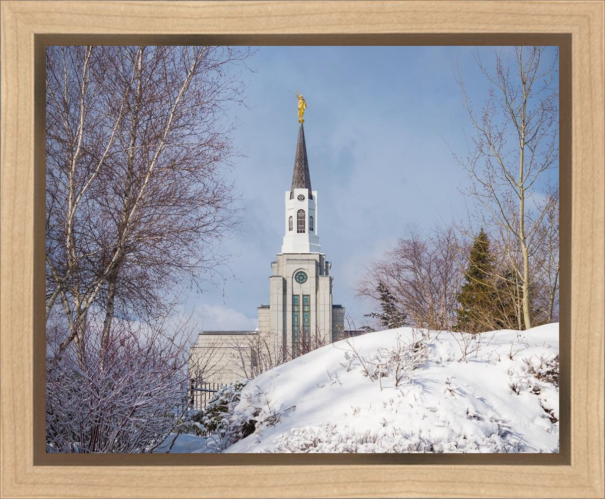 Boston Morning Snow Horizontal