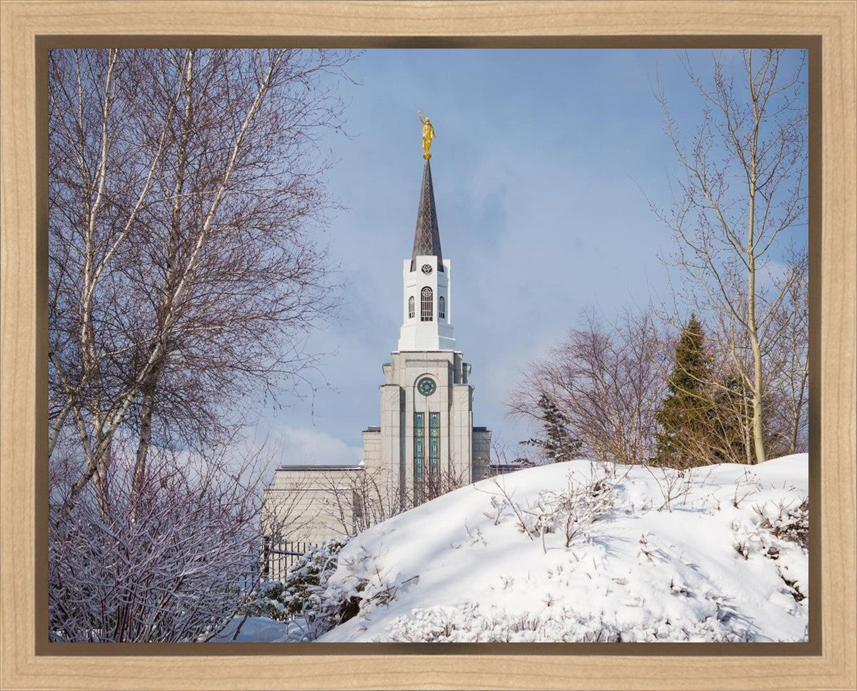 Boston Morning Snow Horizontal