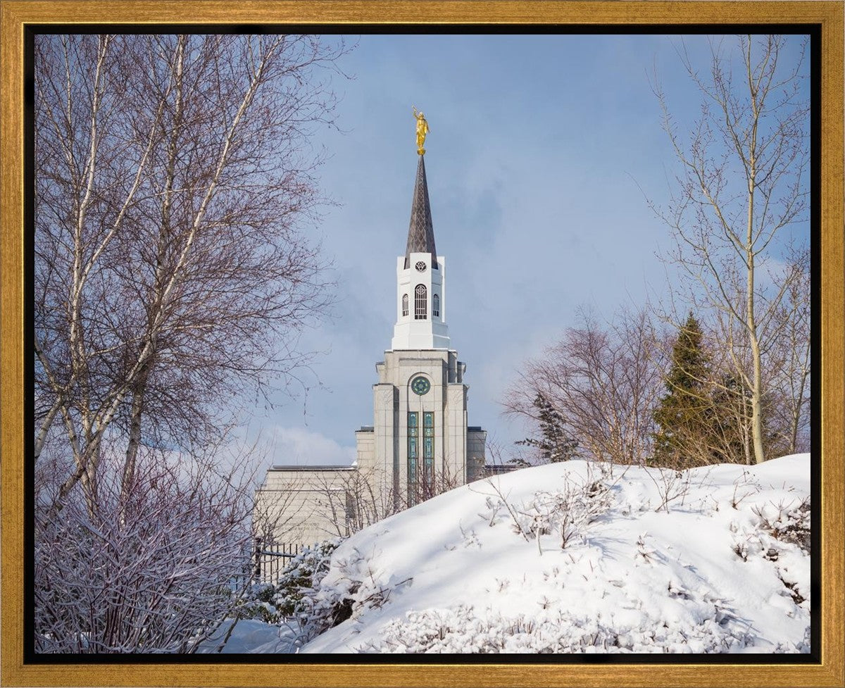 Boston Morning Snow Horizontal