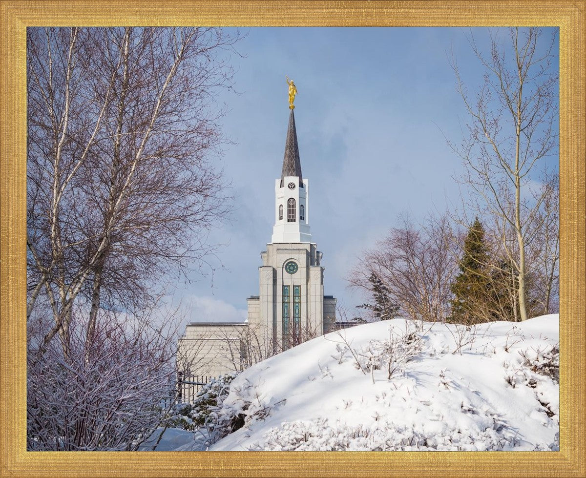 Boston Morning Snow Horizontal