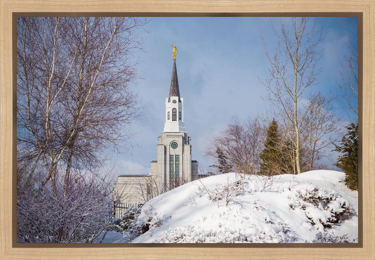 Boston Morning Snow Horizontal