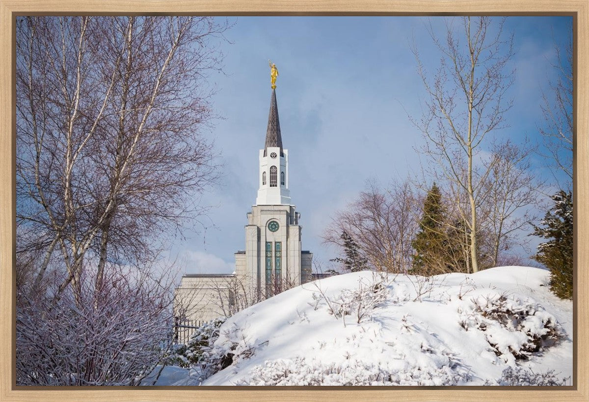 Boston Morning Snow Horizontal