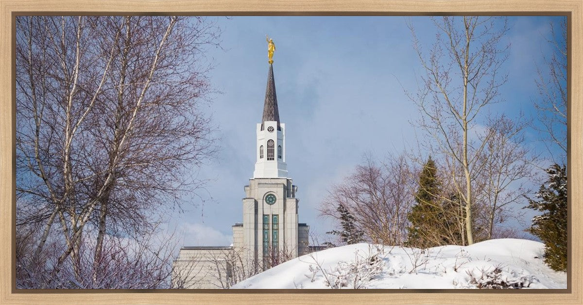 Boston Morning Snow Horizontal