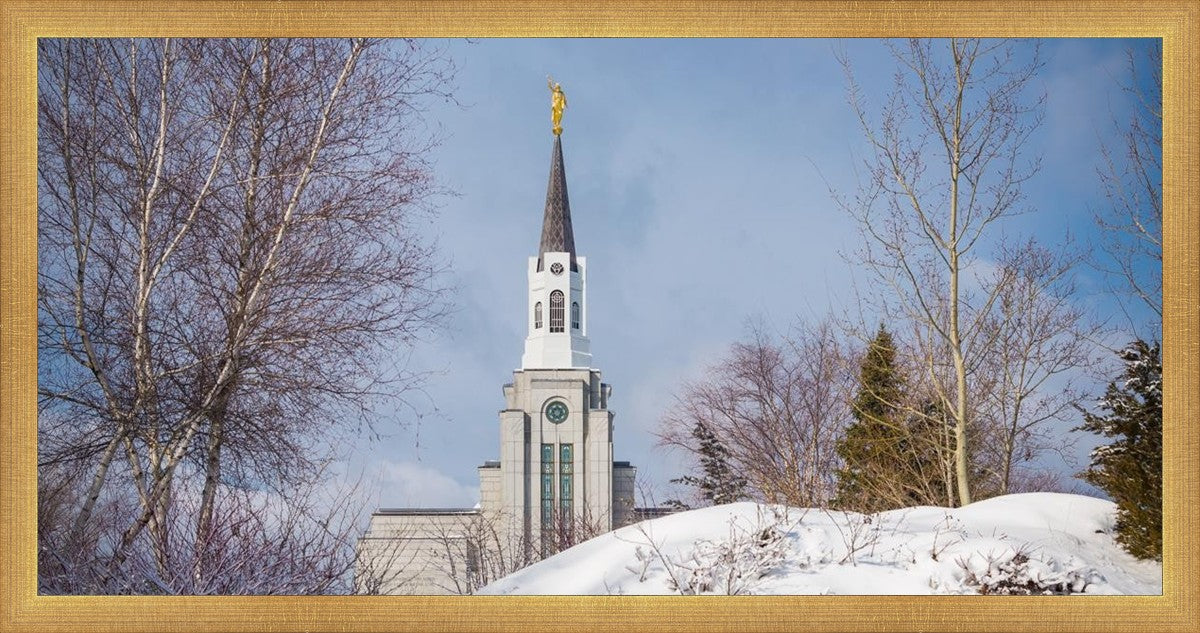 Boston Morning Snow Horizontal