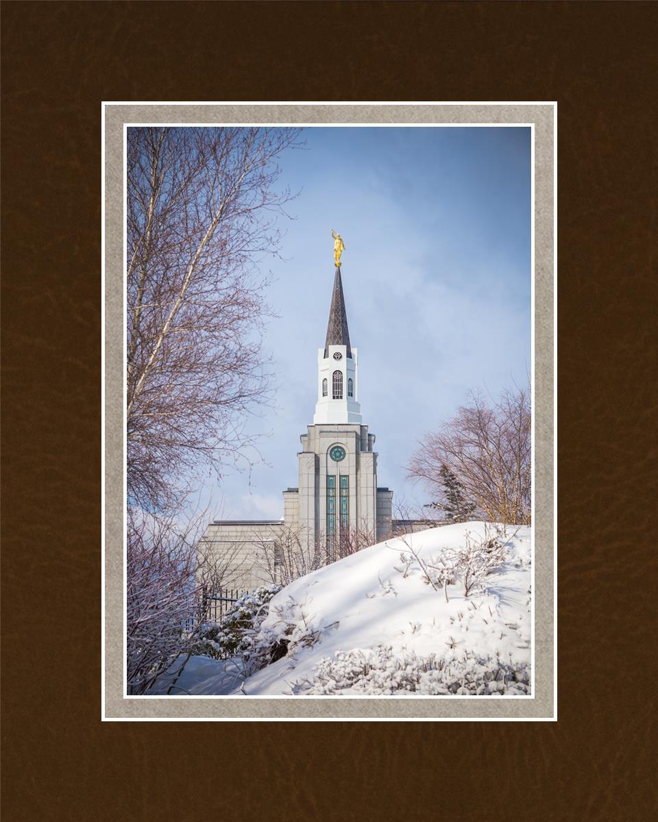 Boston Morning Snow Vertical