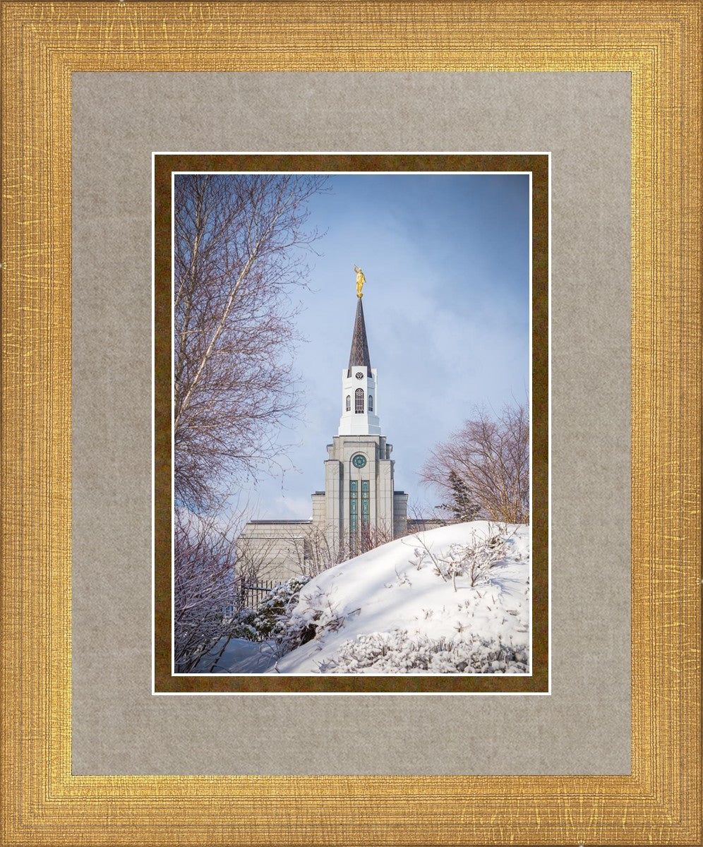 Boston Morning Snow Vertical