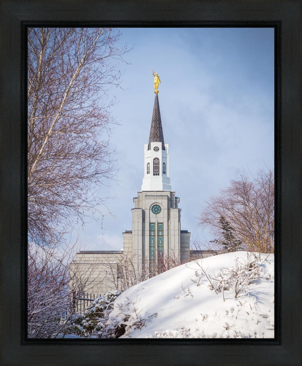 Boston Morning Snow Vertical
