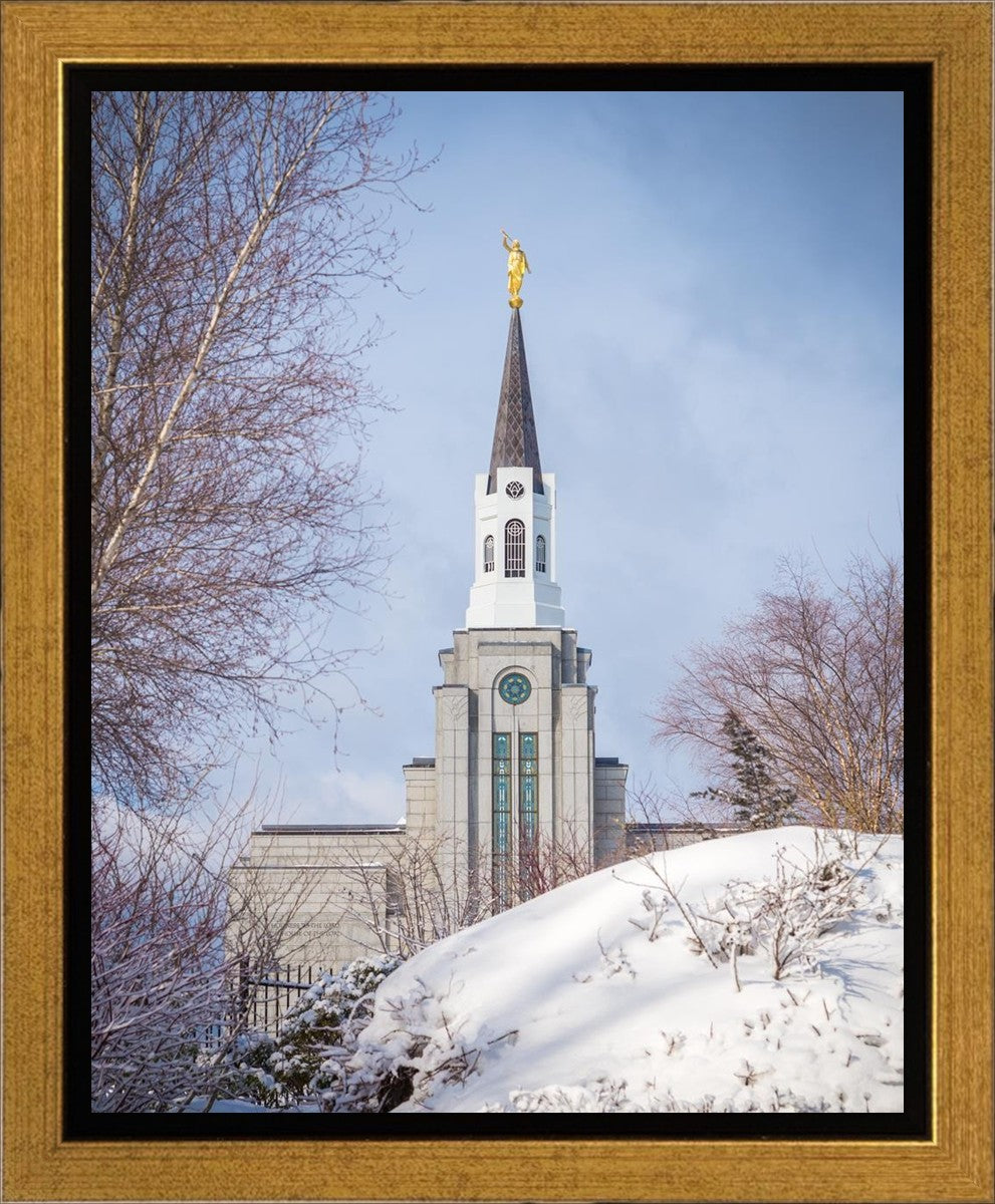 Boston Morning Snow Vertical