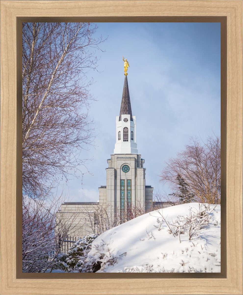 Boston Morning Snow Vertical