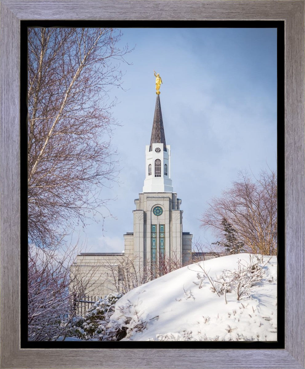 Boston Morning Snow Vertical