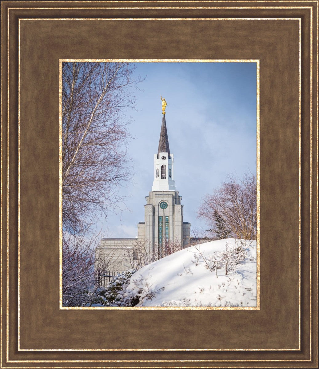 Boston Morning Snow Vertical