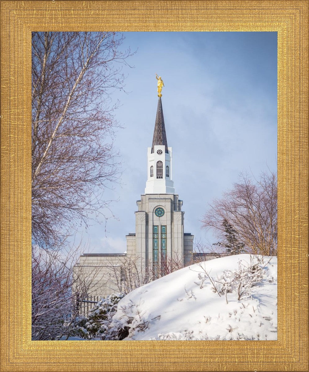 Boston Morning Snow Vertical