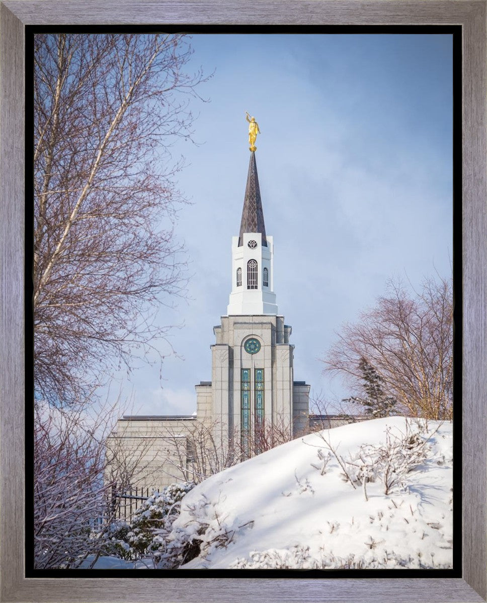 Boston Morning Snow Vertical
