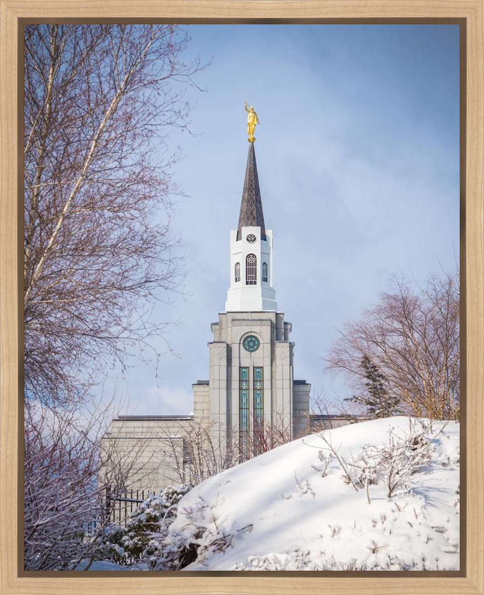 Boston Morning Snow Vertical