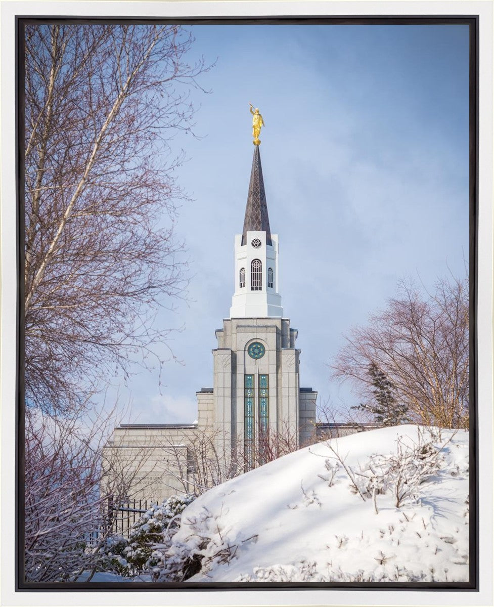 Boston Morning Snow Vertical