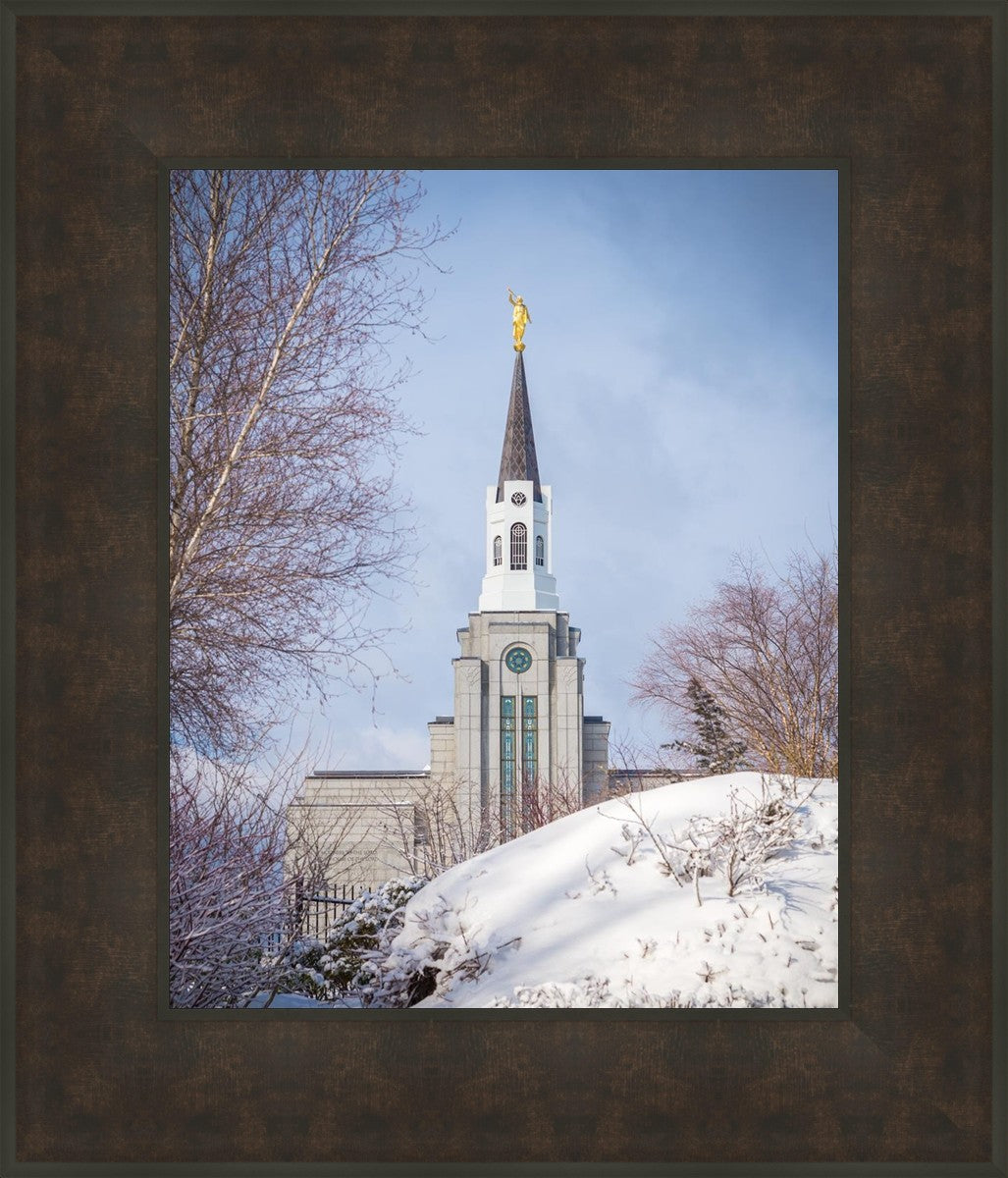 Boston Morning Snow Vertical