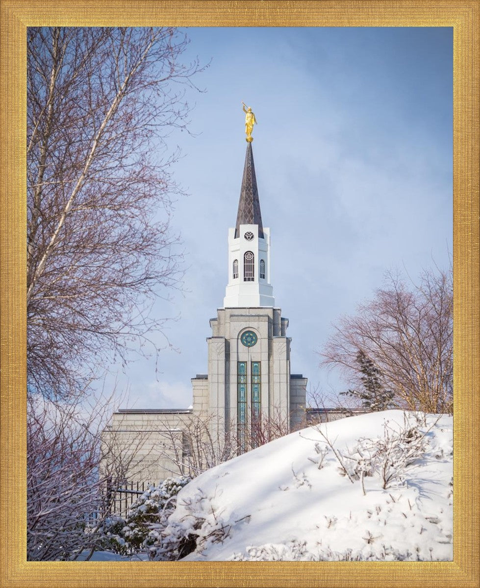 Boston Morning Snow Vertical