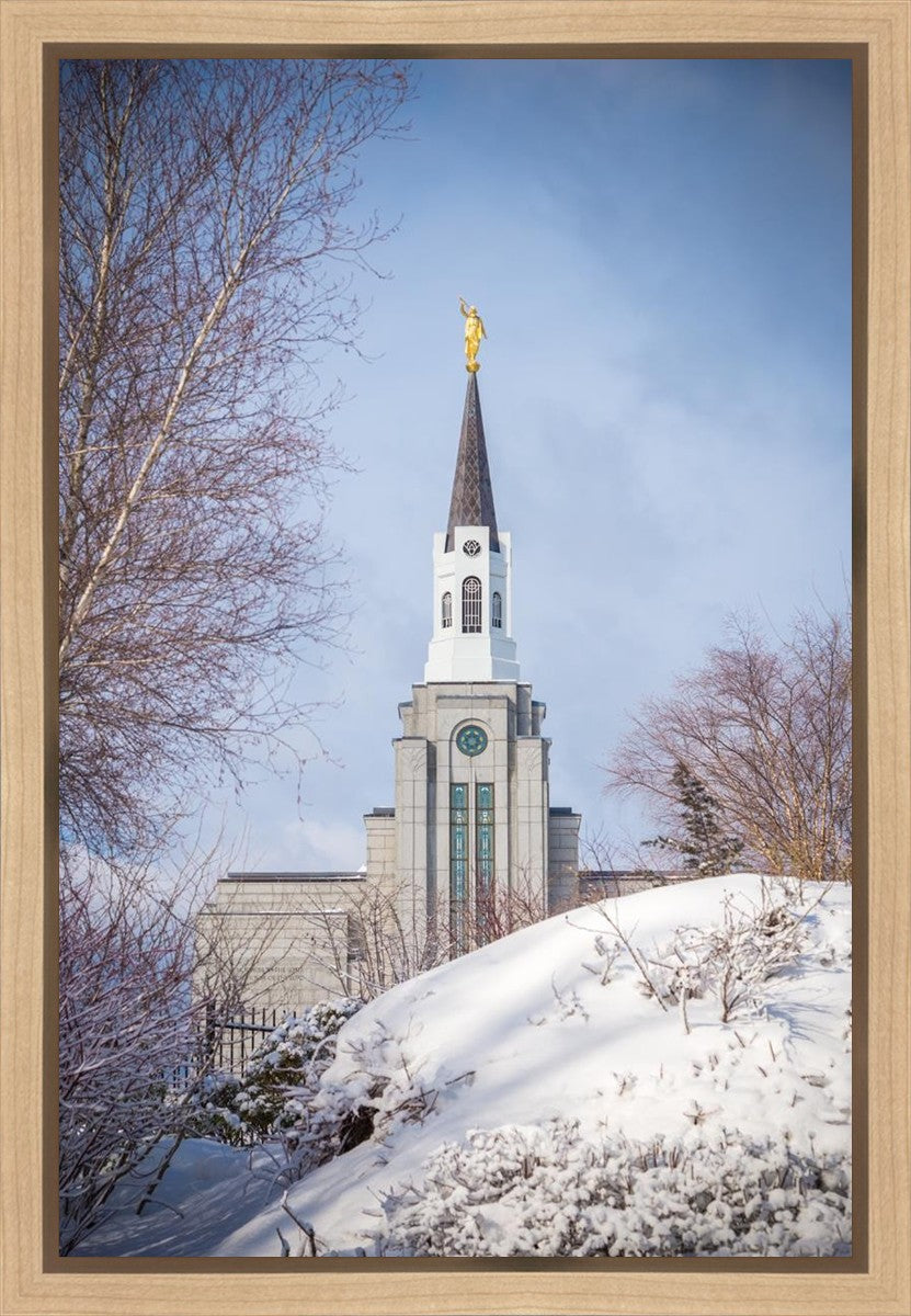 Boston Morning Snow Vertical