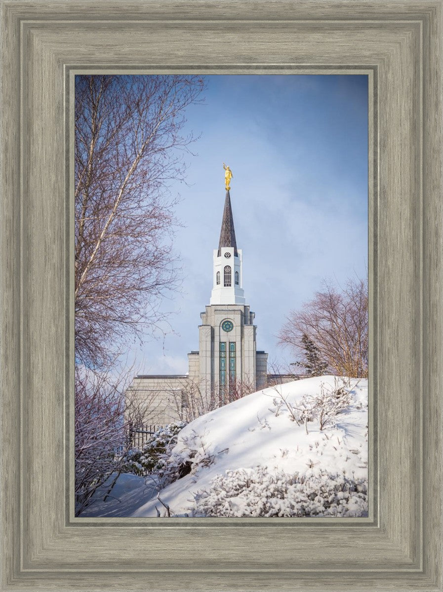 Boston Morning Snow Vertical