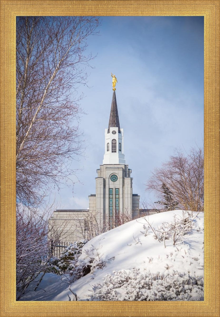 Boston Morning Snow Vertical