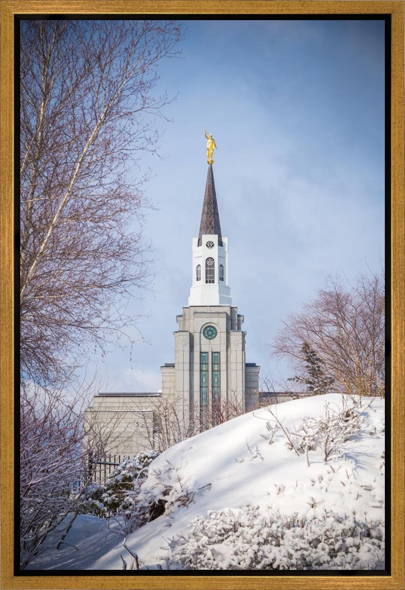 Boston Morning Snow Vertical