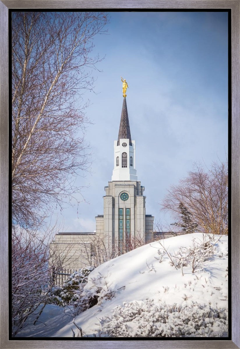 Boston Morning Snow Vertical