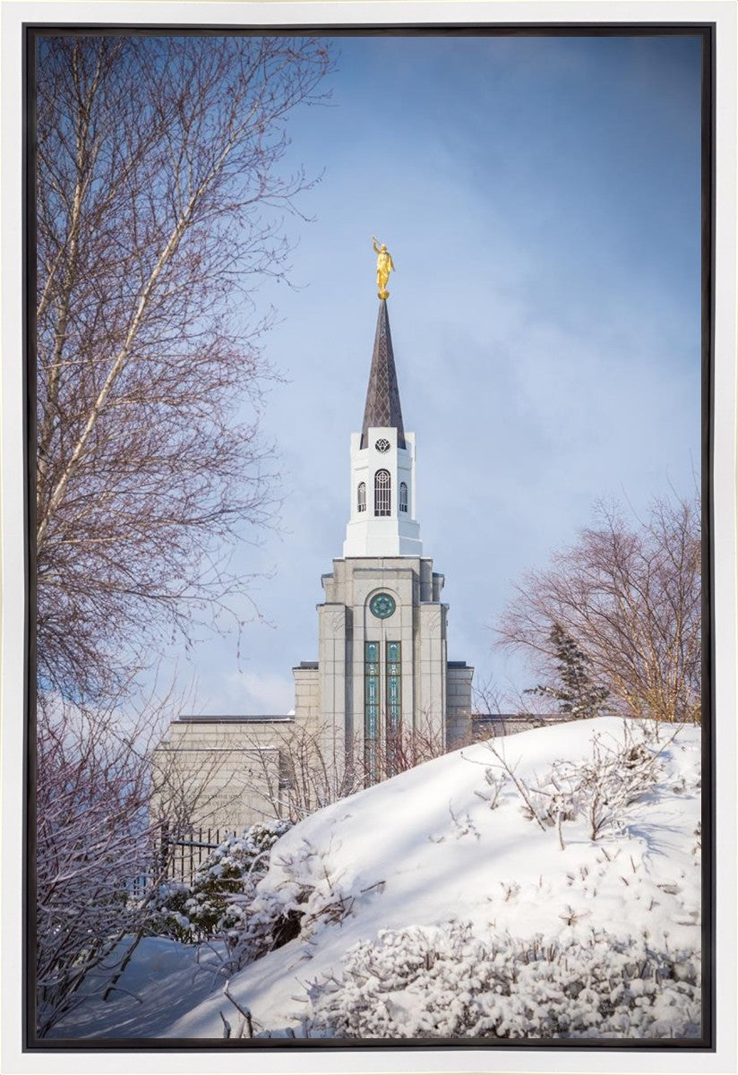 Boston Morning Snow Vertical