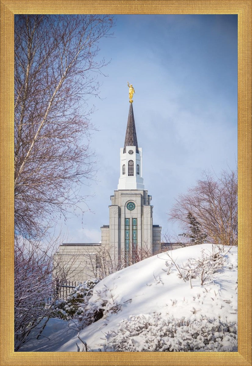 Boston Morning Snow Vertical