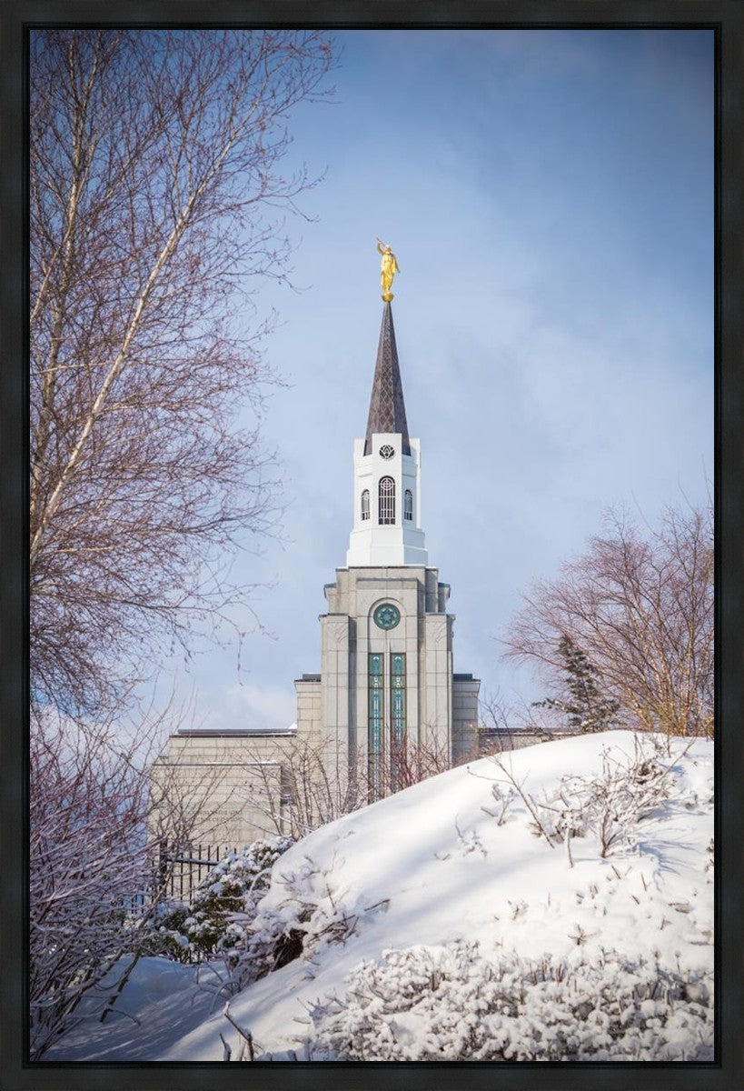 Boston Morning Snow Vertical