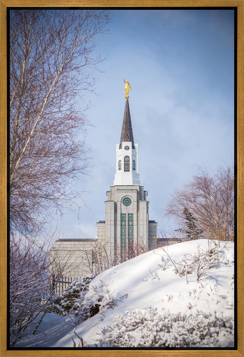 Boston Morning Snow Vertical