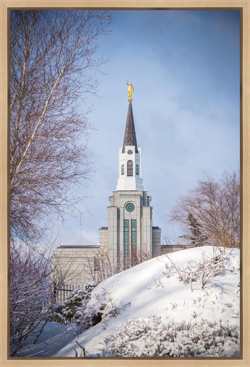 Boston Morning Snow Vertical